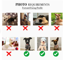 Load image into Gallery viewer, Custom Fetch this Pet Portrait
