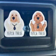 Load image into Gallery viewer, Custom Funny &quot;Fetch These&quot; Dog Magnets
