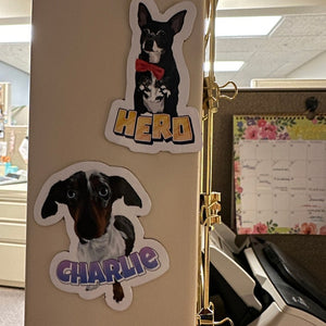 Custom Pet Portrait Magnets