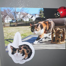 Load image into Gallery viewer, Custom Cat Fridge Magnets
