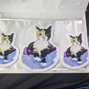 Custom Cat Fridge Magnets