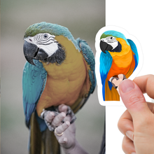 Load image into Gallery viewer, Custom Pet Bird Stickers
