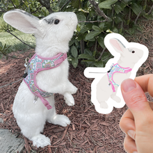 Load image into Gallery viewer, Custom Pet Rabbit Stickers

