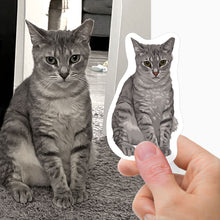 Load image into Gallery viewer, Custom Cat Portrait Stickers
