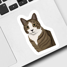 Load image into Gallery viewer, Custom Cat Portrait Stickers
