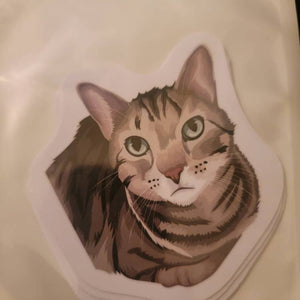 Custom Cat Face Stickers