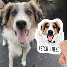 Load image into Gallery viewer, Custom Funny Pet Hand Photo Stickers
